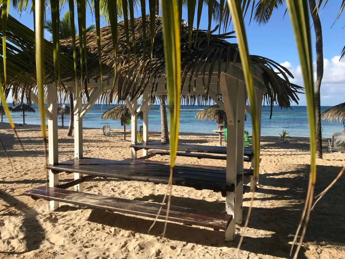Brin D'Ile Anse Des Rochers Vue Mer A 50 M De La Plage Et Piscine Saint-Francois  Bagian luar foto